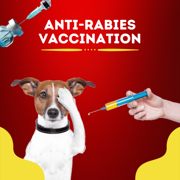 Anti-Rabies Vaccination
