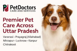 PetDoctors promotional banner showing pet care services in Varanasi, Lucknow, Prayagraj, Kanpur, Mirzapur, and Chitrakoot with brand logo