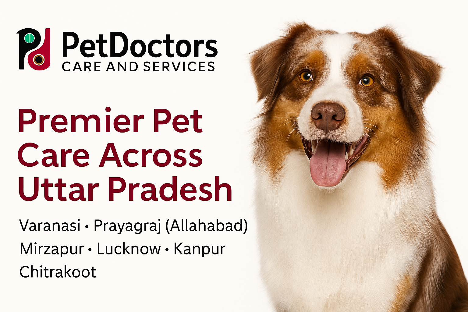 PetDoctors promotional banner showing pet care services in Varanasi, Lucknow, Prayagraj, Kanpur, Mirzapur, and Chitrakoot with brand logo